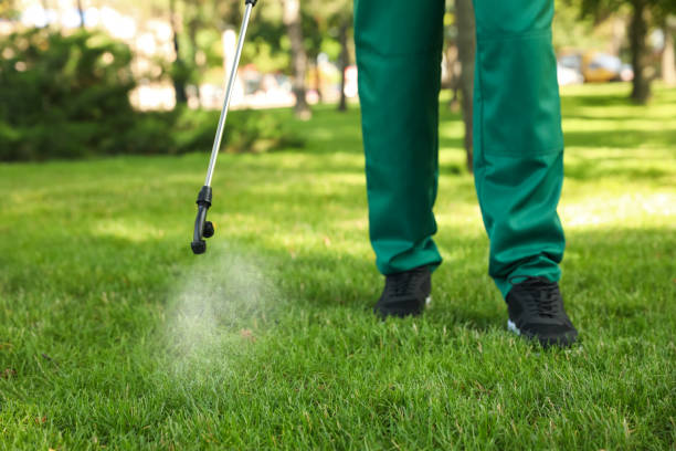 Best Best Pest Control Companies  in Kirbyville, TX