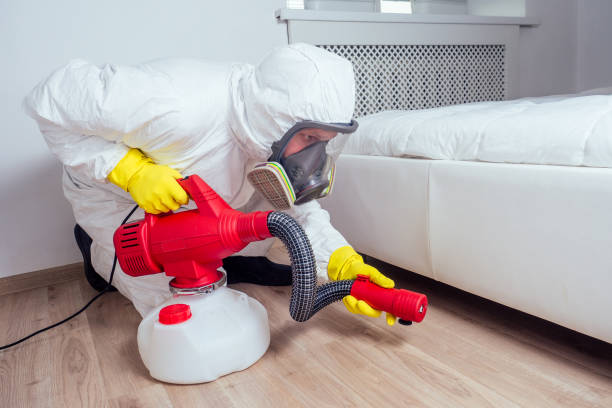 Best Residential Pest Control  in Kirbyville, TX